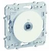 SCHNEIDER ELECTRIC Prise TV Odace Blanc
