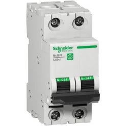 SCHNEIDER ELECTRIC Disjoncteur 10A 2P Courbe C 10kA 240/440V AC Bornes Vis C60SP Multi9 SCHNEIDER M9F22210