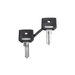 SCHNEIDER ELECTRIC ZBG455 CLÉS DE REMPLACEMENT, LOT N 455
