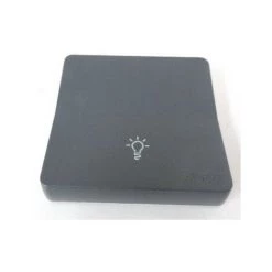 Mureva Styl Enjoliveur Avec Symbôle Lumière IP55 IK08 Gris SCHNEIDER ELECTRIC MUR34202