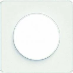 Schneider Electric SC5S52C802 Plaque 1 Poste Odace Touch Liseré Blanc -SCHNEIDER ELECTRIC Soldes 29951940 4