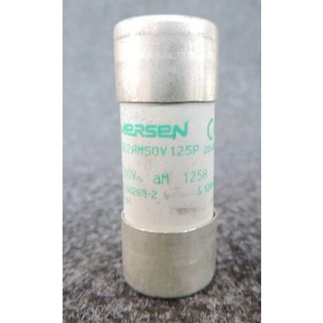 SCHNEIDER ELECTRIC Cartouche Fusible NFC 22x58mm Cylindrique AM 125A Sans Voyant TeSys DF SCHNEIDER DF3FA125 1 SCHNEIDER ELECTRIC Cartouche Fusible NFC 22x58mm Cylindrique AM 125A Sans Voyant TeSys DF SCHNEIDER DF3FA125