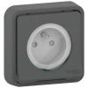 Mureva Styl PC2P+T Gris Encastree Complet IP55 IK08, Schneider Electric Ref. SHN0212457