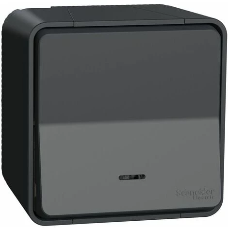 Mureva Styl Va Et Vient Lumineux LED Gris Saillie Complet IP55 IK08, Schneider Electric Ref. SHN0212450 1 Mureva Styl Va Et Vient Lumineux LED Gris Saillie Complet IP55 IK08, Schneider Electric Ref. SHN0212450