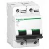 SCHNEIDER ELECTRIC Disjoncteur 63 A - C120N - 2P - Courbe D - 10 KA