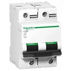 SCHNEIDER ELECTRIC Disjoncteur 80 A - C120H - 2P - Courbe D - 15 KA