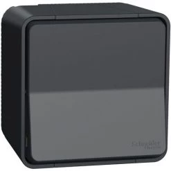 Mureva Styl Va Et Vient Saillie IP55 IK08 Gris, Schneider Electric Ref. SHN0212449