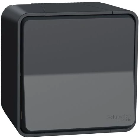 Mureva Styl Va Et Vient Saillie IP55 IK08 Gris, Schneider Electric Ref. SHN0212449 1 Mureva Styl Va Et Vient Saillie IP55 IK08 Gris, Schneider Electric Ref. SHN0212449