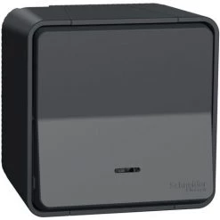 Mureva Styl Interrupteur Poussoir Gris, Schneider Electric, Ref. SHN0212453