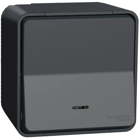 Mureva Styl Interrupteur Poussoir Gris, Schneider Electric, Ref. SHN0212453 1 Mureva Styl Interrupteur Poussoir Gris, Schneider Electric, Ref. SHN0212453