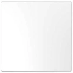 Tecla Simple Para Mecanismo D-LIFE ártico - SCHNEIDER ELECTRIC