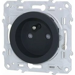 ODACE, PRISE DE COURANT 2P+T ANTHRACITE, À VIS, CONNEXION RAPIDE SCHNEIDER ELECTRIC