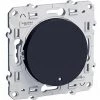 SCHNEIDER ELECTRIC - ODACE, VA-ET-VIENT LUMINEUX ANTH. 10 A À VIS LED ORANGE 1,5 MA LOCAL. OU TEMOIN - S540263