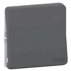 SCHNEIDER ELECTRIC MUR35027 ? POUSSOIR GRIS