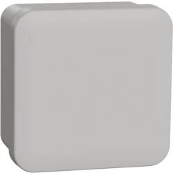 Boîte De Dérivation Face Lisse 80 X 80 X 45 Mm En Saillie - Schneider Electric