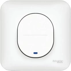 SCHNEIDER ELECTRIC Bouton Poussoir Lumineux Ovalis - 10A - Localisation - Blanc